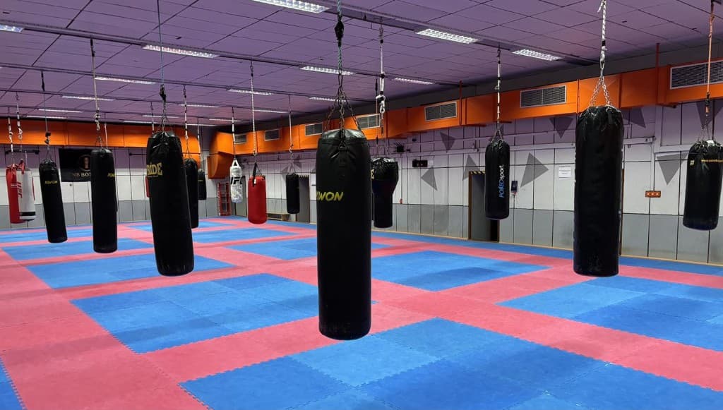 Dvorana - frontalni pogled s NB Boxing zastavom